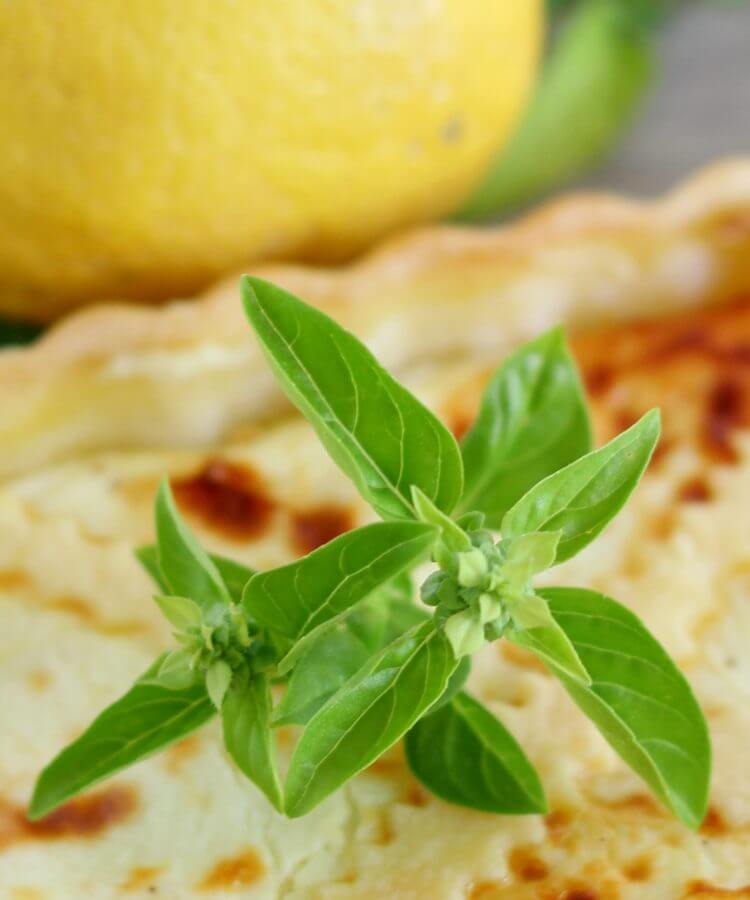 Torta salata squacquerone, limone e basilico/ Soft cheese, lemon and basil salty tart.
