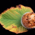Muffin alle mele con copertura croccante/ Apple muffins with crunchy crust.