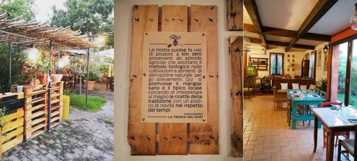 la terra dei kaki montiano