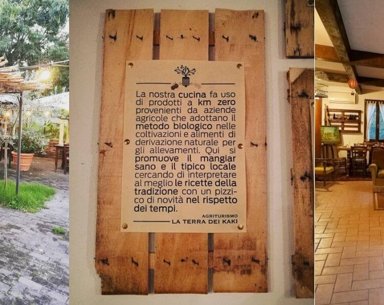 la terra dei kaki montiano