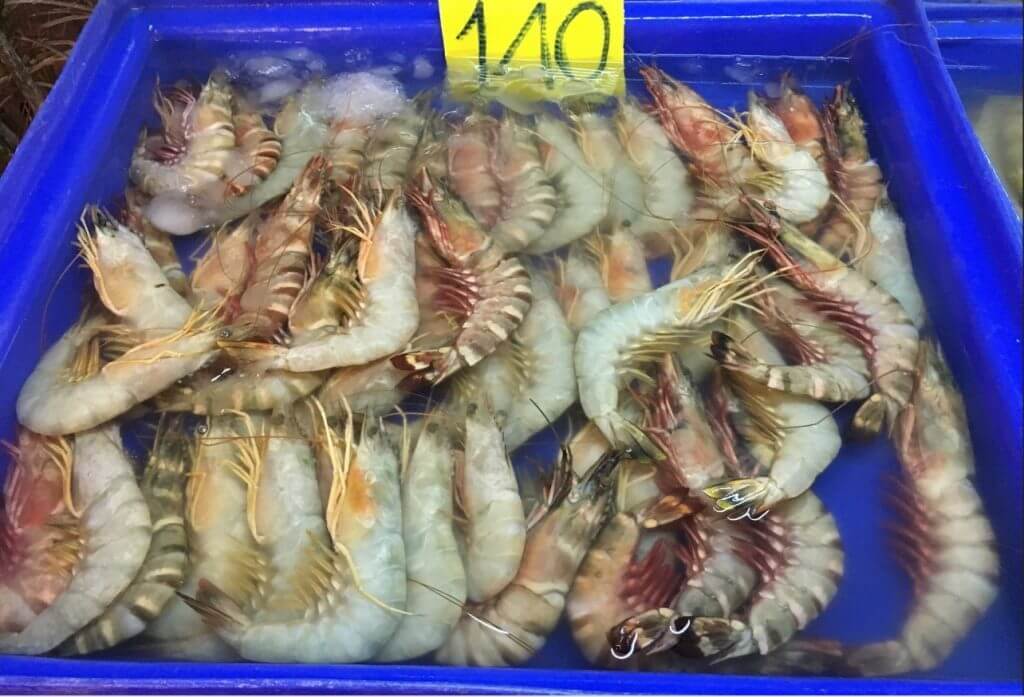 tiger prawns