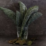 Chips di cavolo nero ( o ali di pipistrello croccanti per Halloween).