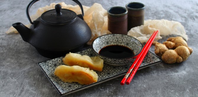 Gyoza, Japanese grilled dumplings.