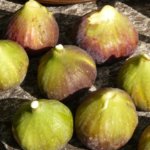 Caramelized figs, an Italian traditional fruit preserve.